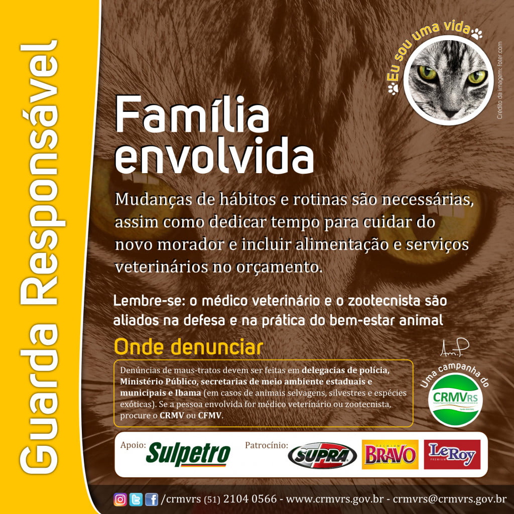 Campanha contra o abandono de animais será lançada nesta quinta-feira